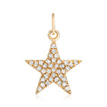 Load image into Gallery viewer, Medium Pavé Star Charm